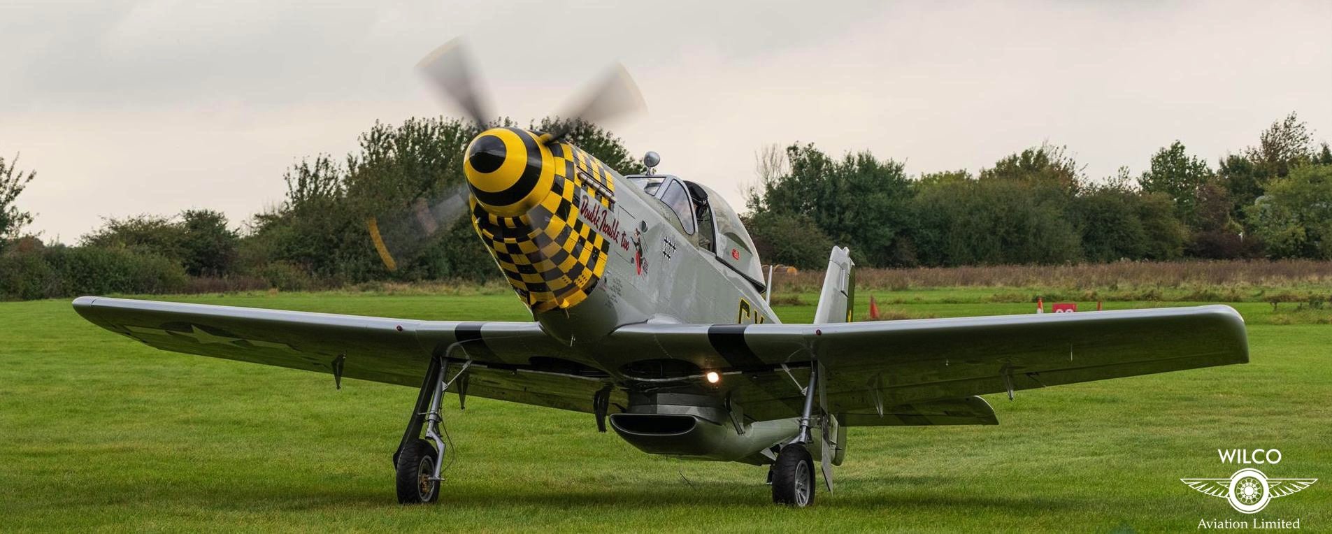 Titan T-51D Mustang
